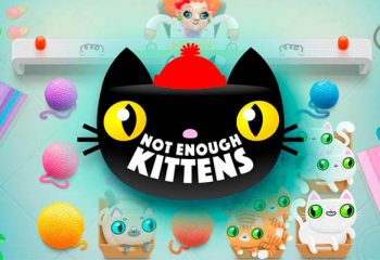 Not Enough Kittens